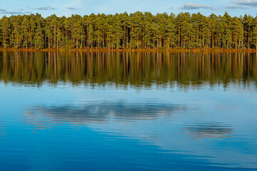 A peaceful scene featuring a calm lake reflecting a dense forest under a clear blue sky. The grassy shoreline is bathed in warm, golden light, adding depth and tranquility to the landscape.