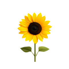 Vibrant sunflower with bright yellow petals and a rich brown center, isolated on a white background.