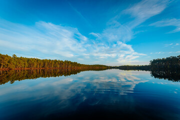 A tranquil lakeside view with tall golden grasses in the foreground and a clear reflection of trees and sky on the calm water. The blue sky and wispy clouds enhance the peaceful, natural scene.
