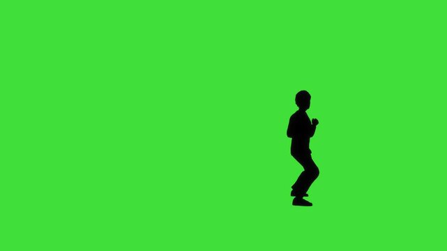 An animated silhouette of a character performing a martial arts jump spinning crescent kick with a green screen background. The scene captures acrobatic precision and power.