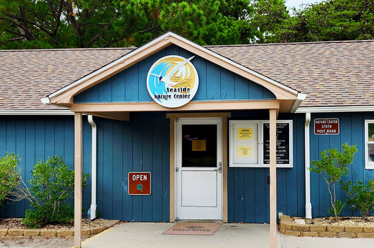 Seaside Nature Center, Cape Henlopen State Park, Lewes, Delaware, USA