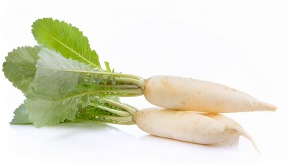 Daikon on white background. Daikon Isolated.