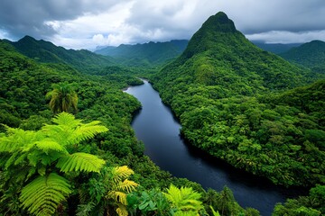Lush rainforest landscape with towering trees, dense foliage, and a river cutting through the thick vegetation