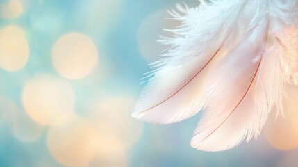Naklejka premium Close-up view of soft white feathers glowing softly, creating a calming ambiance with an elegant and delicate vibe