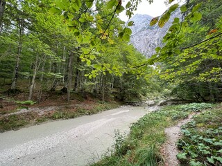 Obraz premium The Suhi potok Stream or Dry Creek in Zadnja Trenta, Bovec (Triglav National Park, Slovenia) - Der Bach Suhi potok in Zadnja Trenta (Triglav-Nationalpark, Slowenien) - Suhi potok (desni pritok Vrsnika