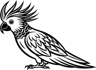 Cockatoo bird line art.eps