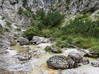 The Suhi potok Stream or Dry Creek in Zadnja Trenta, Bovec (Triglav National Park, Slovenia) - Der Bach Suhi potok in Zadnja Trenta (Triglav-Nationalpark, Slowenien) - Suhi potok (desni pritok Vrsnika