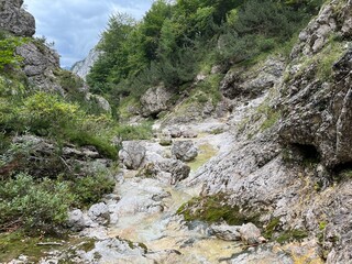 The Suhi potok Stream or Dry Creek in Zadnja Trenta, Bovec (Triglav National Park, Slovenia) - Der Bach Suhi potok in Zadnja Trenta (Triglav-Nationalpark, Slowenien) - Suhi potok (desni pritok Vrsnika