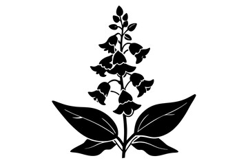 This illustration showcases a vector design of Angelonia,