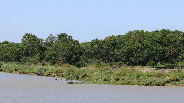 Riverbank Scene in Blaye, France