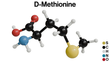 3D Illustration of D-Methionine Chemical Structure on a White Background: A Detailed Visualization of the Amino Acid's Molecular Composition