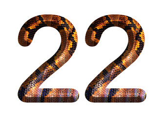 22, number shape with snake skin motif design, python skin