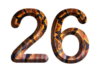 26, number shape with snake skin motif design, python skin