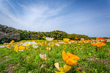 公園