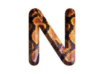 N, letter shape with snake skin motif design, python skin.