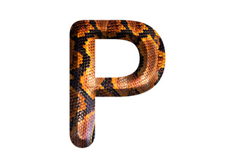 P, letter shape with snake skin motif design, python skin.