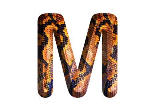 M, letter shape with snake skin motif design, python skin.