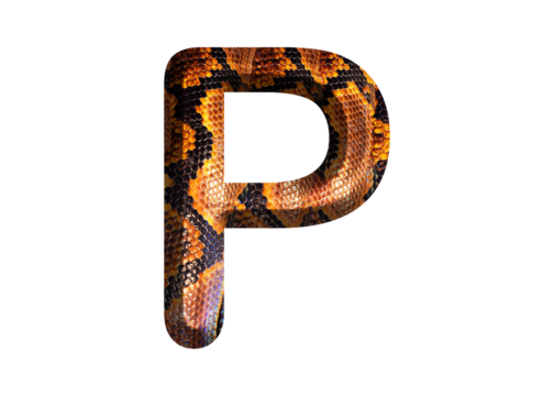 P, letter shape with snake skin motif design, python skin.