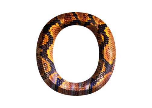 O, letter shape with snake skin motif design, python skin.