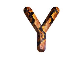 Y, letter shape with snake skin motif design, python skin.