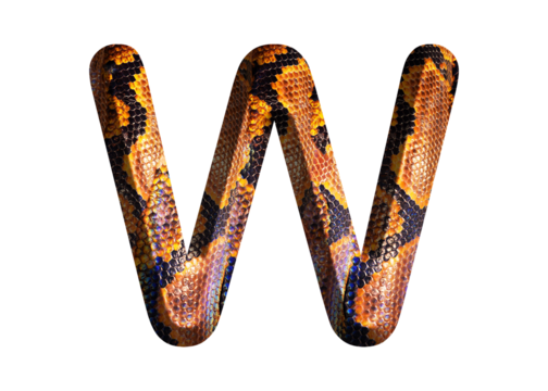 W, letter shape with snake skin motif design, python skin.