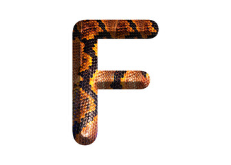 F, letter shape with snake skin motif design, python skin.