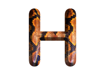 H, letter shape with snake skin motif design, python skin.