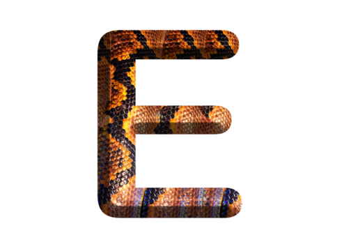 E, letter shape with snake skin motif design, python skin.