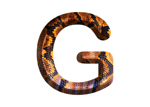 G letter shape with snake skin motif design, python skin.