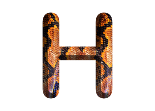 H, letter shape with snake skin motif design, python skin.