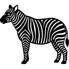 Obraz premium zebra vector illustration