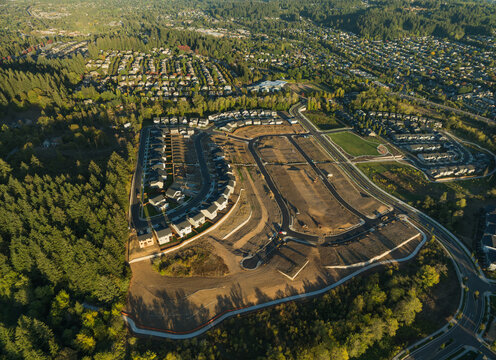 A view of a residential area with a lot of trees and houses