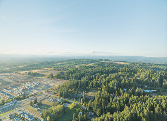 Obraz premium A beautiful green forest with a small town in the background