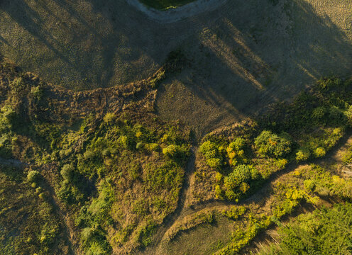 A field with trees and grass in the foreground and a hill in the background