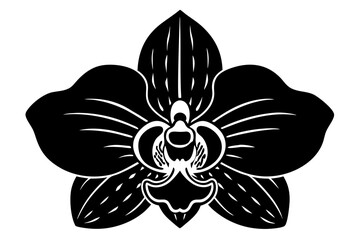  vanda  flower  silhouette vector, vanda icon illustration