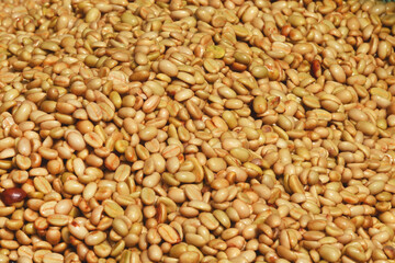 Coffee beans,In the ferment and wash method of wet processing
