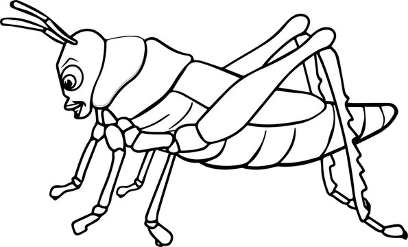 recommend clip art: GRASSHOPPER LINE ART