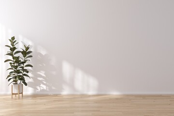 Empty area scene. Interior of living minimal style with empty space for products presentation or text for advertising.