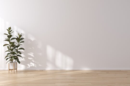 Empty area scene. Interior of living minimal style with empty space for products presentation or text for advertising.