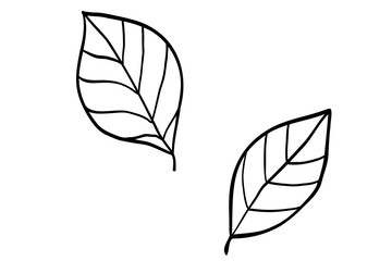 シンプルな葉っぱの線画イラスト
