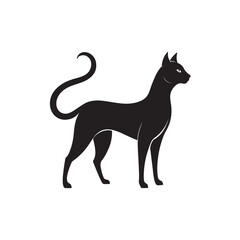 A silhouette emphasizing the long, sleek legs of a cat standing elegantly with a slightly arched back