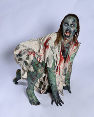 portrait of scary female model wearing spooky halloween costume, ripped clothes and fake blood like...