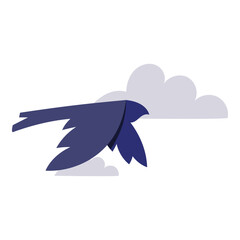 Bird fly on cloud