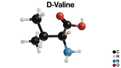 3D Illustration of the Chemical Structure of D-Valine on a White Background: Detailed Molecular Representation with Bonding and Atomic Composition