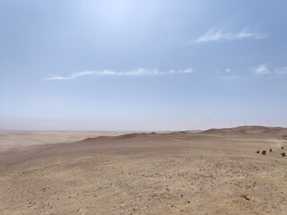 landscape in the desert