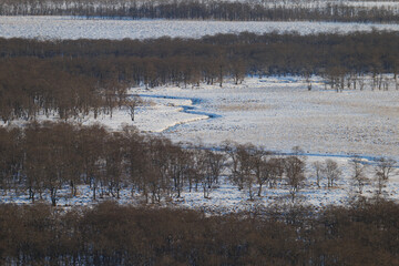 冬の早朝の釧路湿原