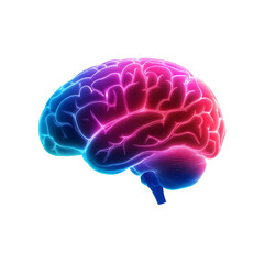 Obraz premium Vibrant neon brain illustration showcasing cognitive functions and neural connections, perfect for educational and artistic purposes.