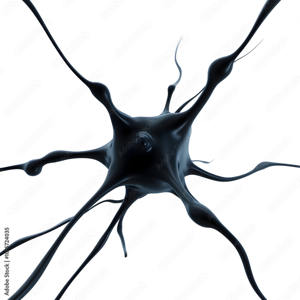 Poster black neuron model with intricate dendrites and axon against a white isolated background.