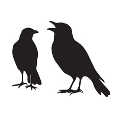 Bird Silhouettes 