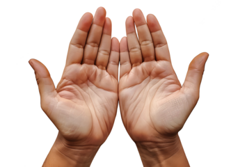 Male hands open palm up in prayer, on transparent background. PNG